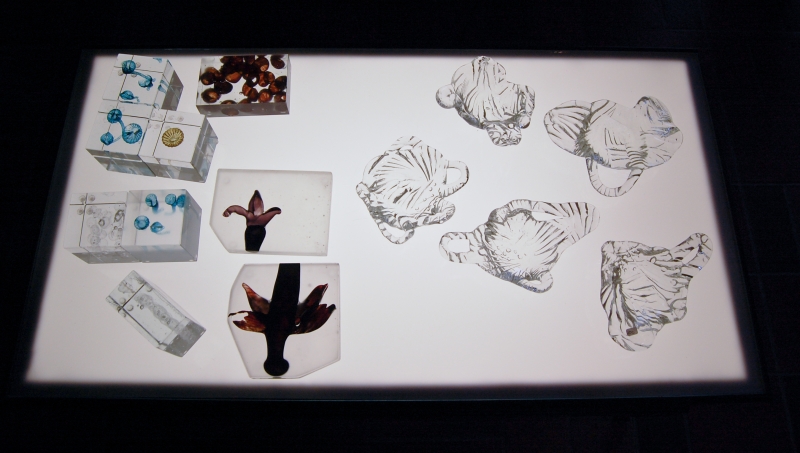 Glasbruket 2008_01.jpg